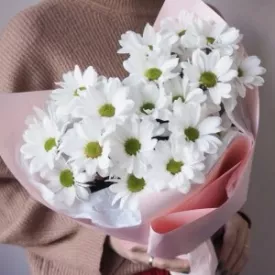 Прайс от 2000