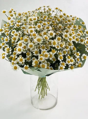 Букет «Ромашка» от интернет-магазина цветов в 