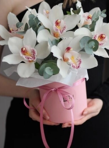 Бокс «Сахарная Орхидея» от интернет-магазина цветов в 