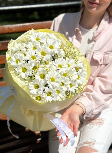 Букет ромашек и хризантем  «Солнышко» от интернет-магазина цветов в 