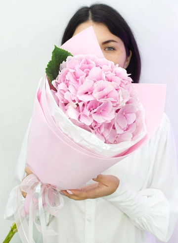 Розовая гортензия  от интернет-магазина цветов в 