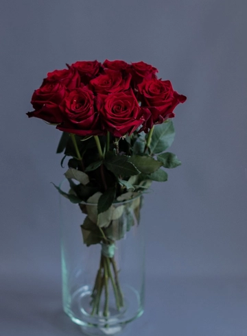 11 роз сорта Эксплорер в ленте  от интернет-магазина цветов в 