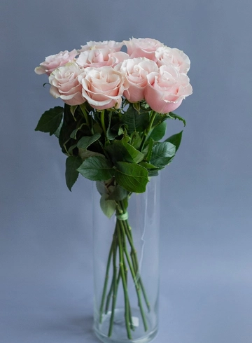 Букет из 11 роз сорта Рослин в ленте  от интернет-магазина цветов в 